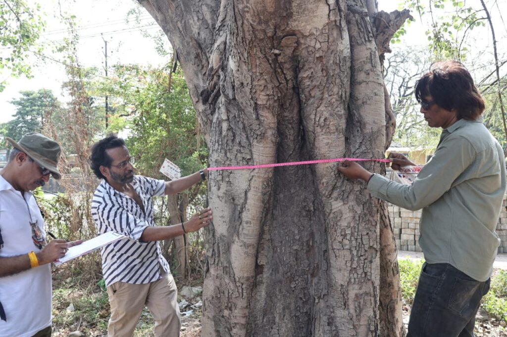 "Abhay Jain, an independent candidate in the 2024 Lok Sabha elections from Indore, engaged in environmental activism by saving trees after voting. His simplicity and personal grassroots campaigning won him the election. His campaign, devoid of social media, focused on local issues like education and healthcare. Celebrating his victory, Jain continues his tree-saving movement, highlighting his commitment to environmental conservation."